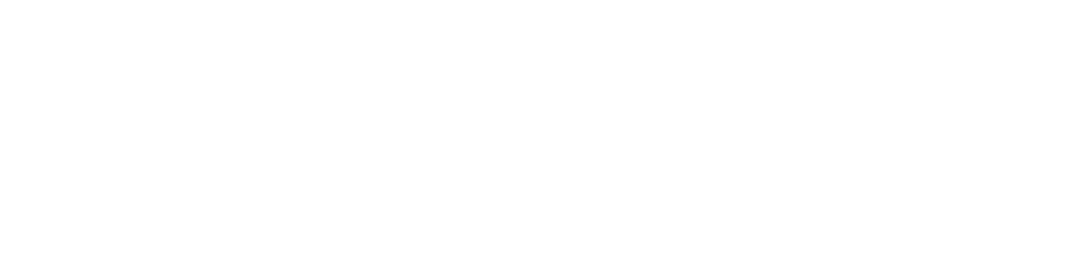 NeuroSpine Institute